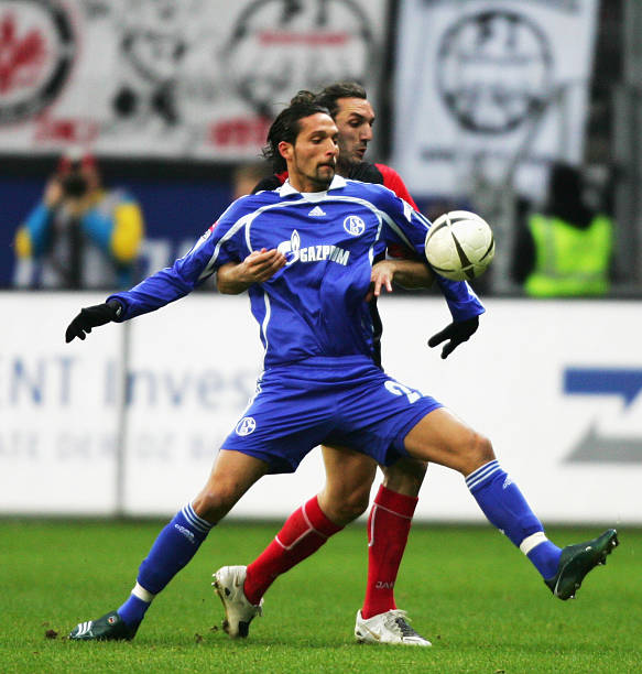 尼克斯很可 尼克斯很可